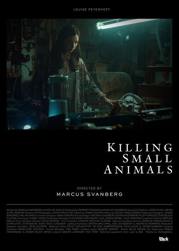 Killing Small Animals - Plakate
