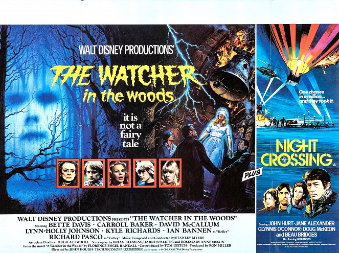The Watcher in the Woods - Posters