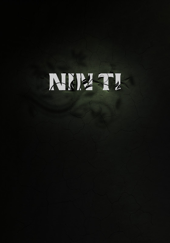 Ninti - Posters