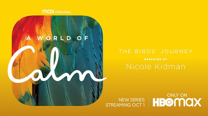A World of Calm - A World of Calm - The Bird's Journey - Affiches