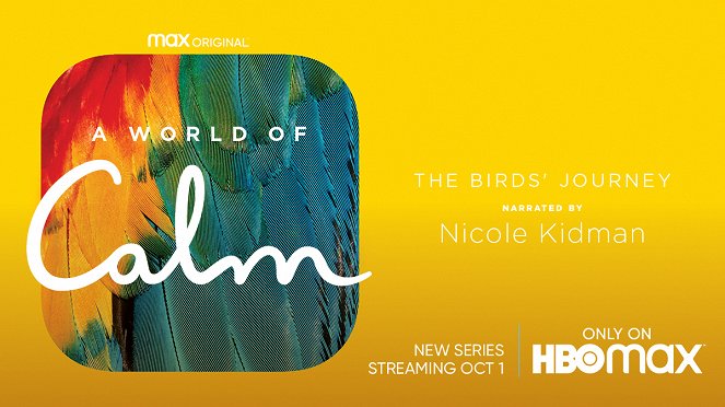 A World of Calm - A World of Calm - The Bird's Journey - Plakate