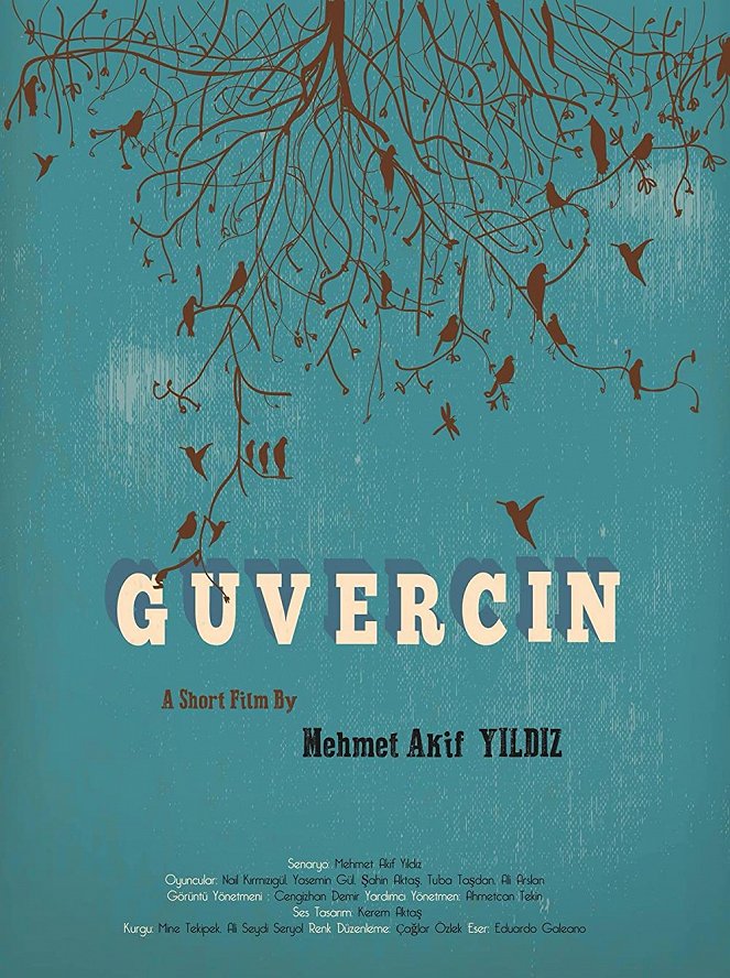 Güvercin - Plagáty