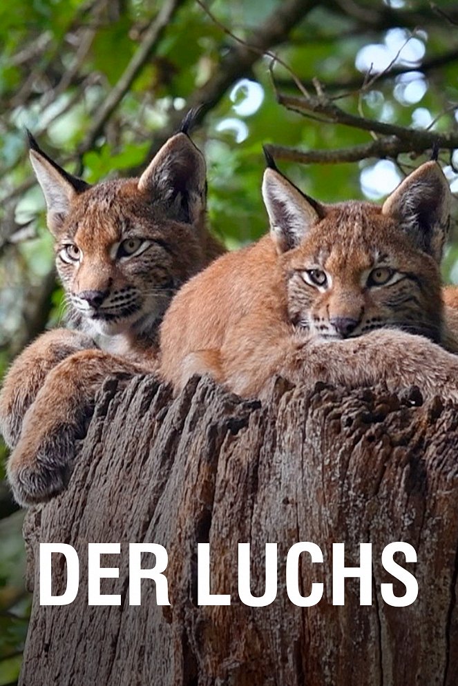 Európa vadvilága - Európa vadvilága - Hiúz - Plakátok
