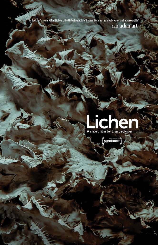 Lichen - Plakaty
