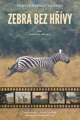 Příběh zebry bez hřívy - Plakáty