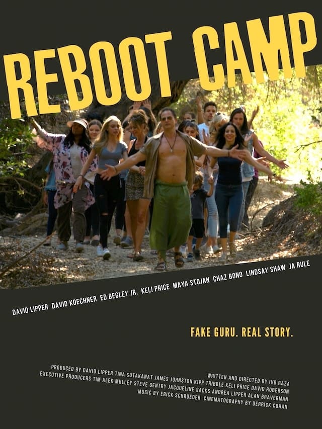Reboot Camp - Affiches