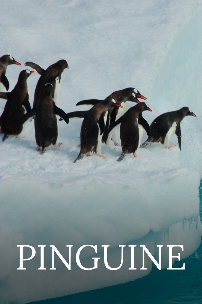 The Wonder of Animals - Pinguine - Plakate