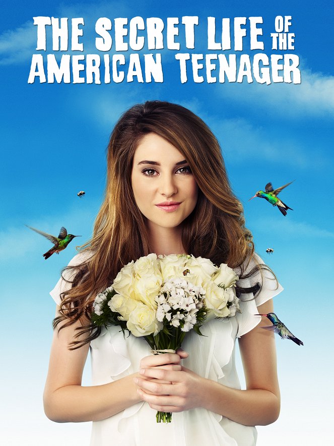 The Secret Life of the American Teenager - Carteles