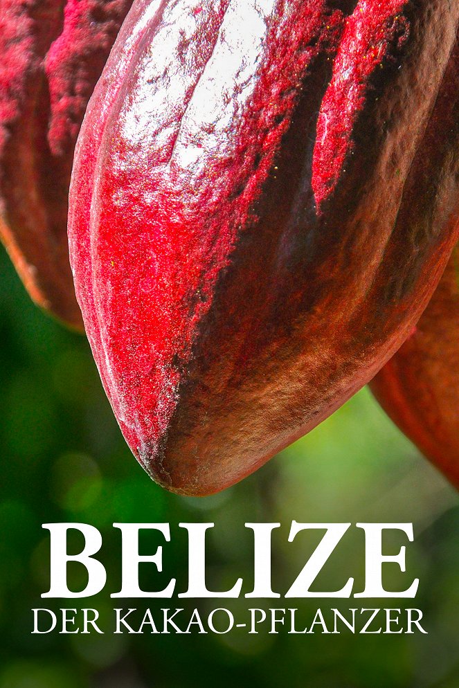 Belize – Der Kakao-Pflanzer - Plakate