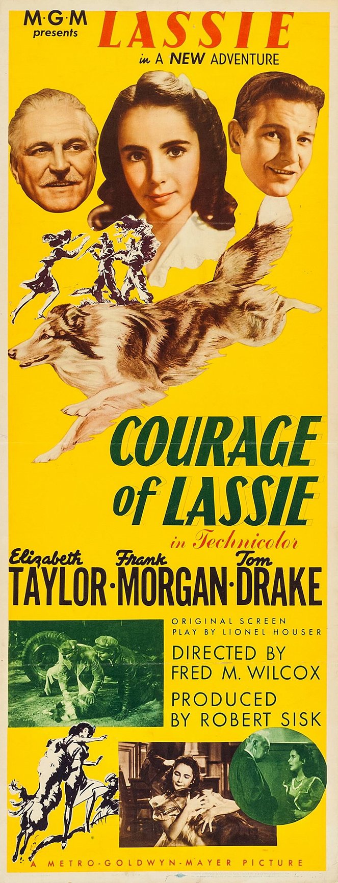 Odvážná Lassie - Plagáty