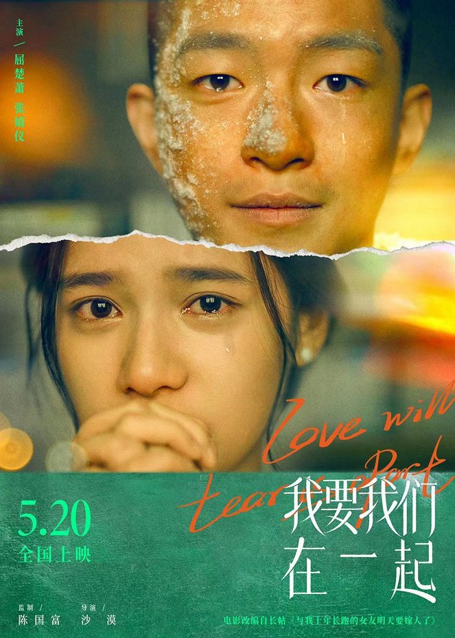 Love Will Tear Us Apart - Posters