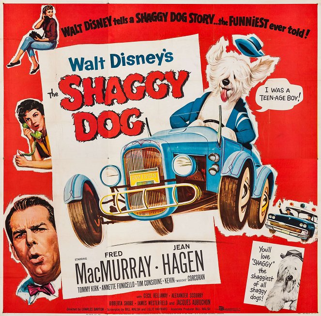 The Shaggy Dog - Plakate