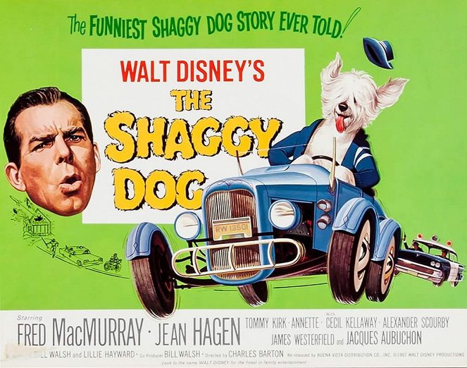 The Shaggy Dog - Plakaty