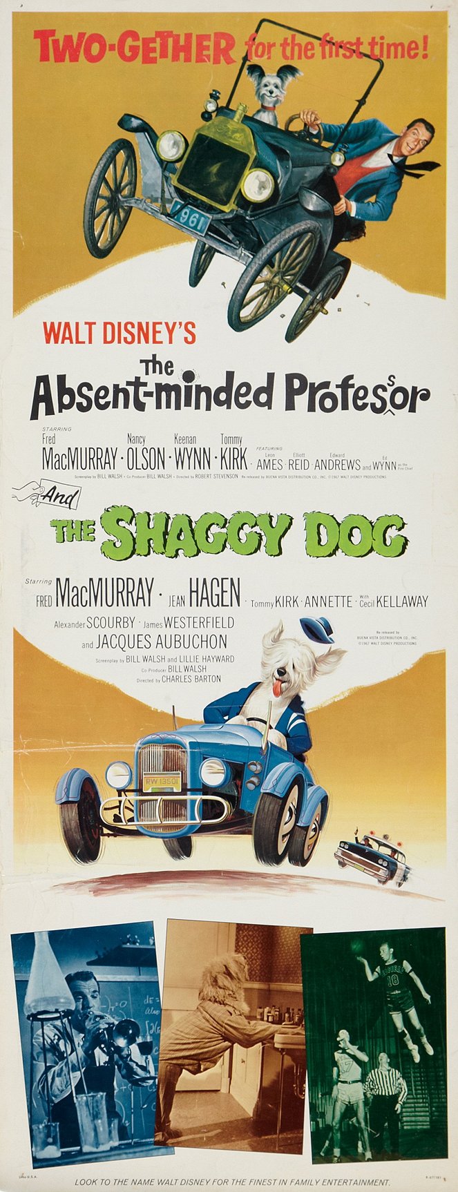 The Shaggy Dog - Affiches