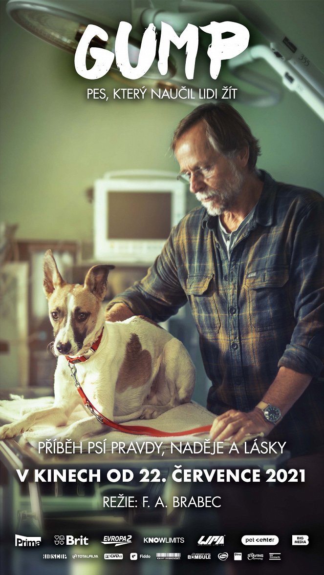 Gump: Pies, który nauczył ludzi żyć - Plakaty