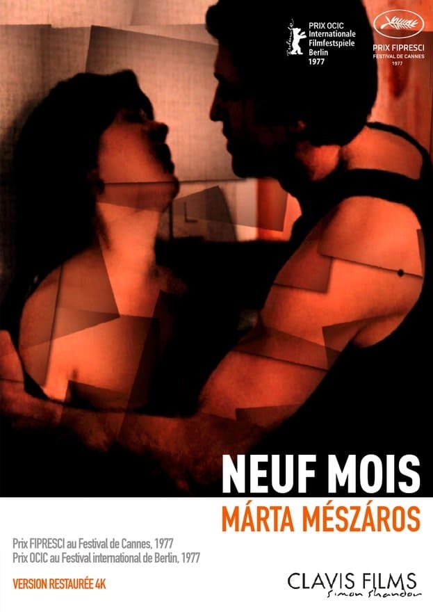 Neuf mois - Affiches