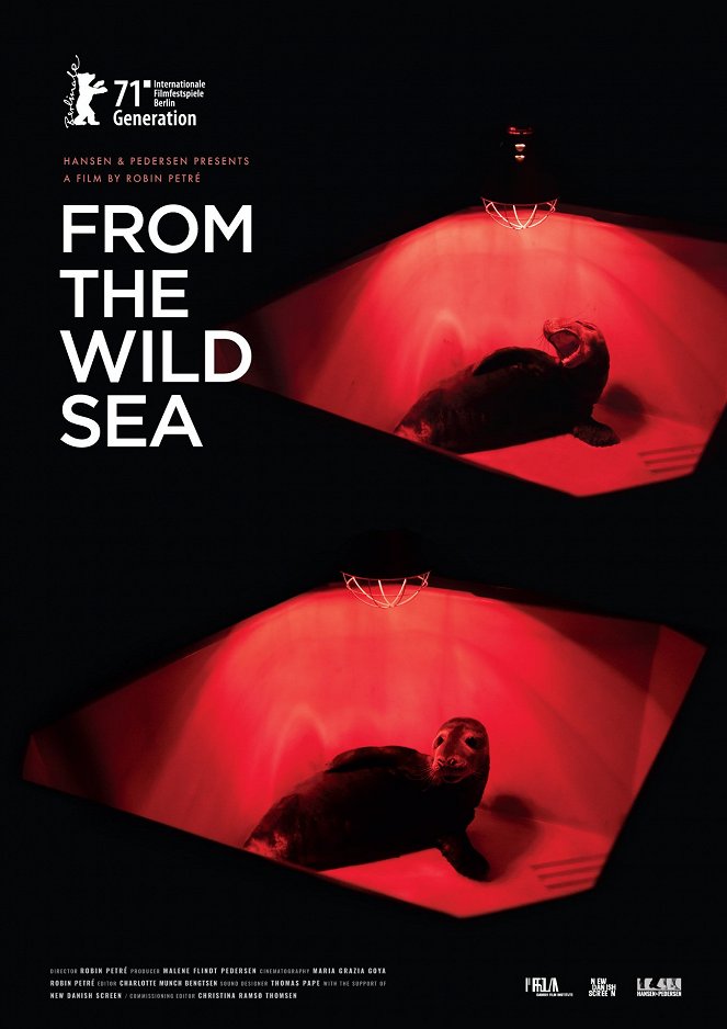 Z divokého moře - Plakáty