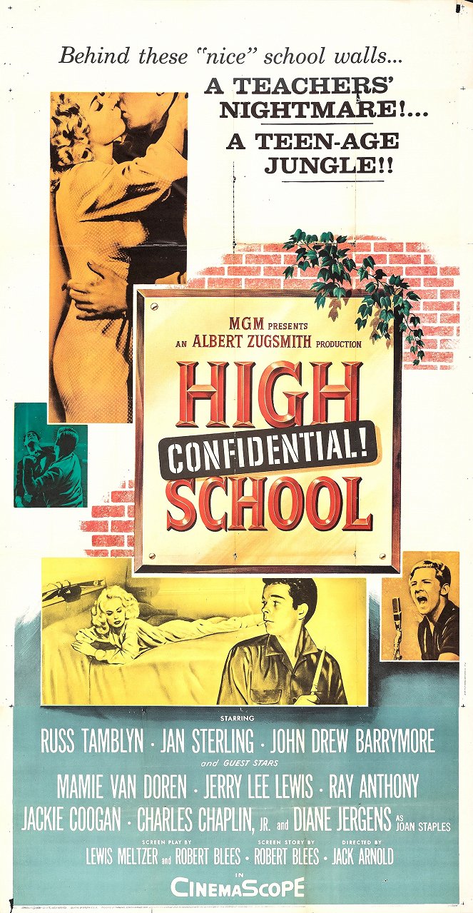 High School Confidential! - Plakaty