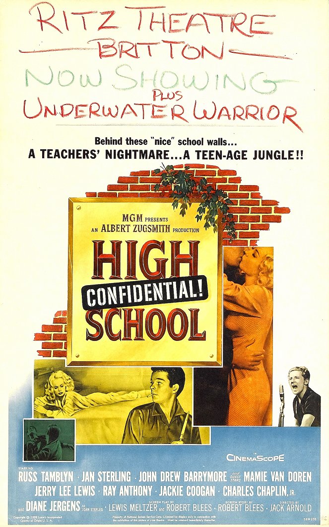 High School Confidential! - Plakáty