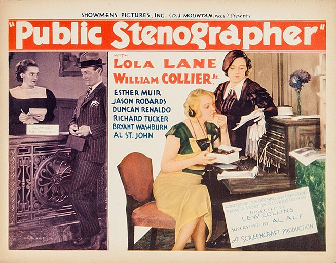Public Stenographer - Posters