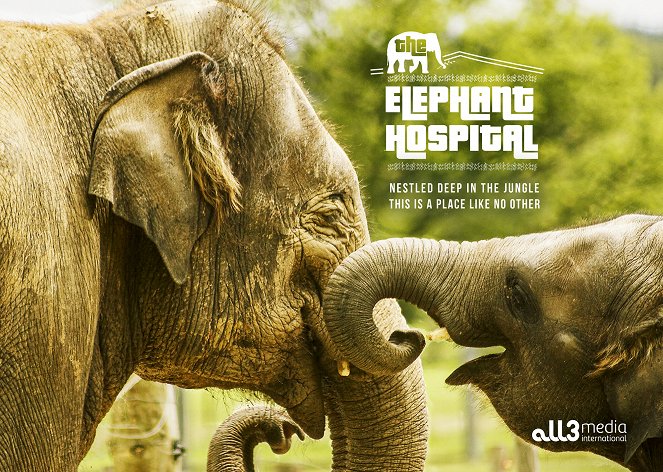 Az elefántkórház - Plakátok
