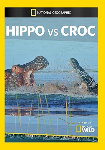 Hippo vs. Croc - Posters