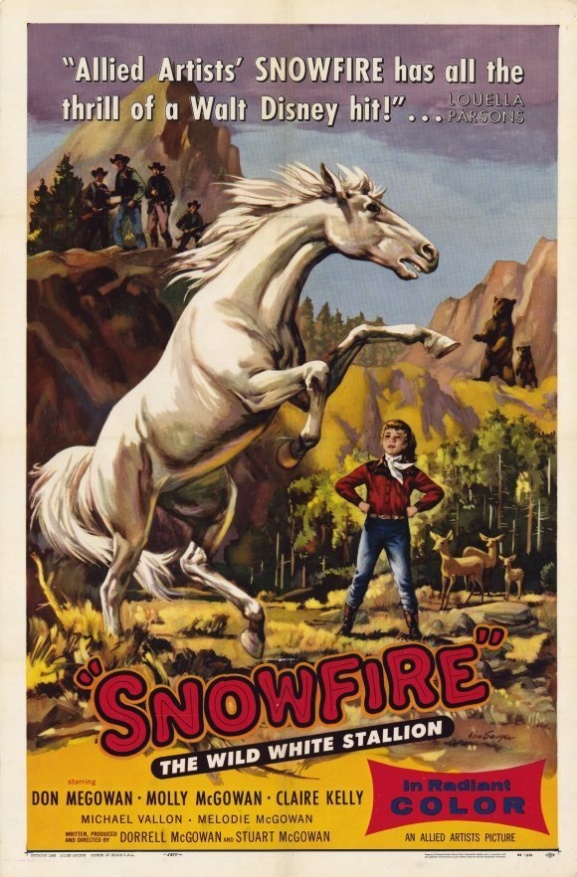 Snowfire - Plakaty