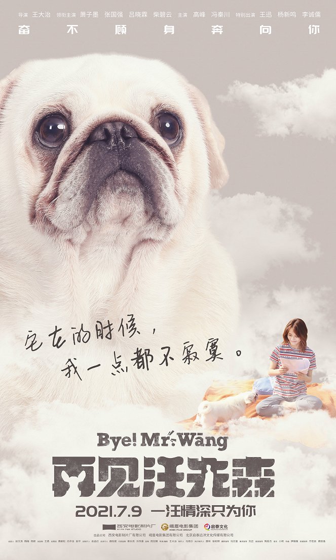 Bye! Mr. Wang - Plakáty