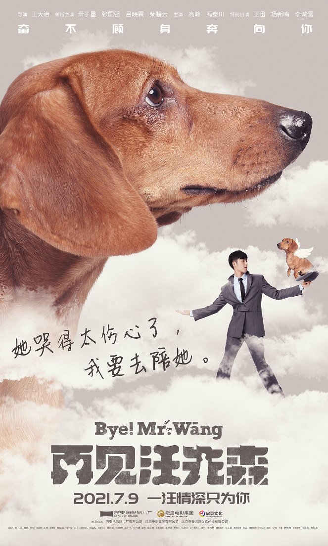 Bye! Mr. Wang - Plakáty
