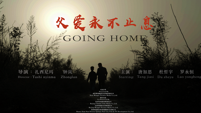 Going Home - Plakáty