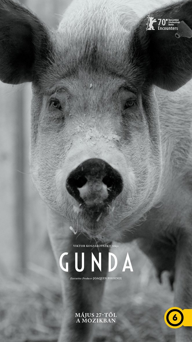 Gunda - Plakátok