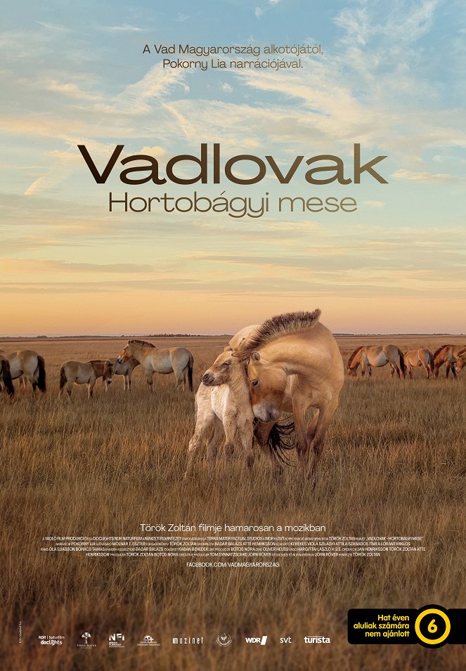 Sauvages chevaux de la Puszta : Au cœur des steppes hongroises - Affiches