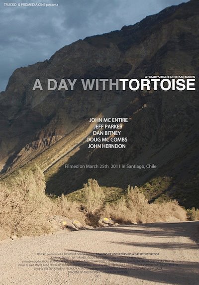 Un día con Tortoise - Posters