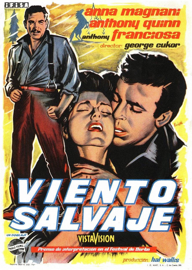 Viento salvaje - Carteles