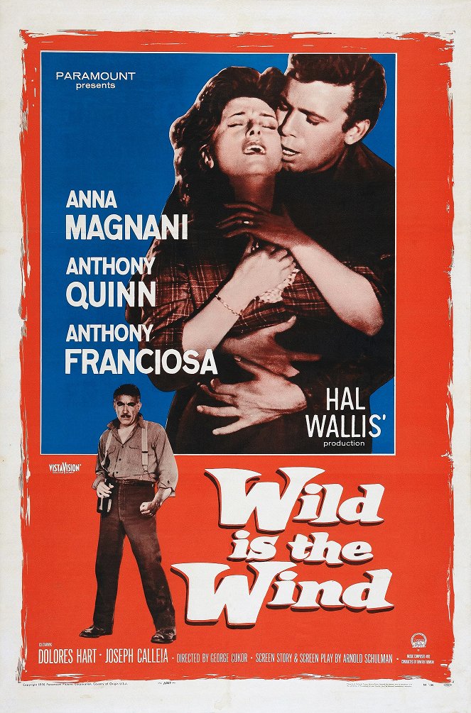 Wild Is the Wind - Affiches