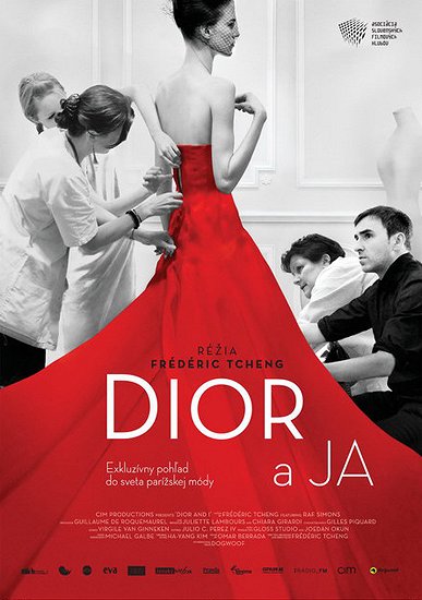 Dior a ja - Plagáty