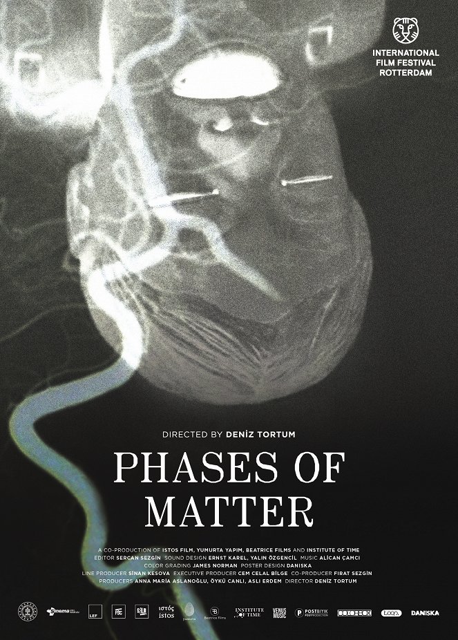 Phases of Matter - Posters