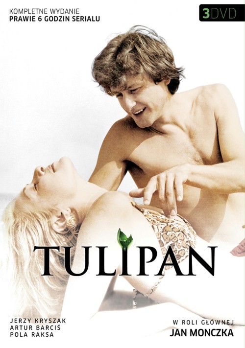 Tulipan - Posters