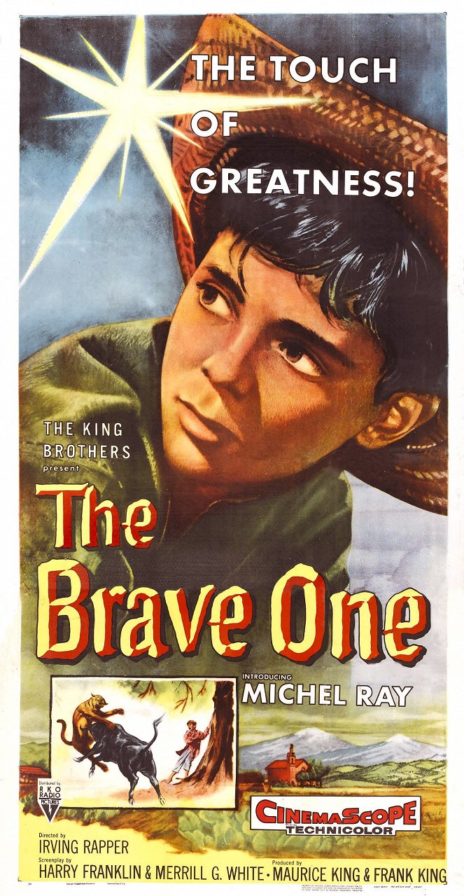 The Brave One - Plakátok