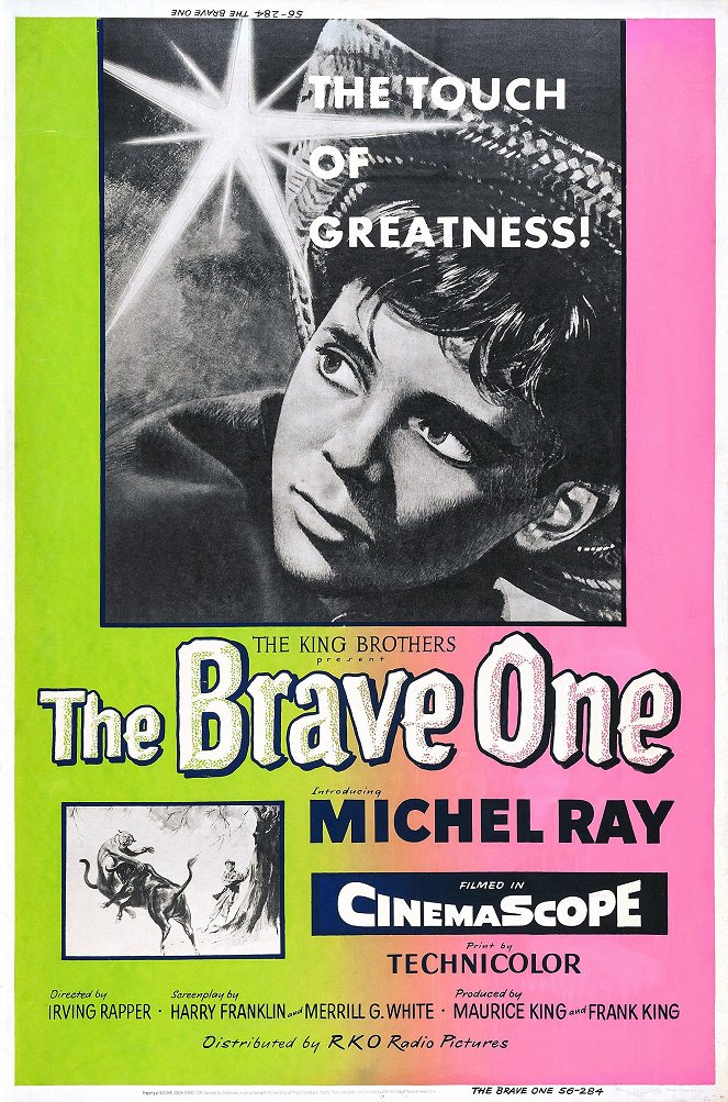 The Brave One - Plakate