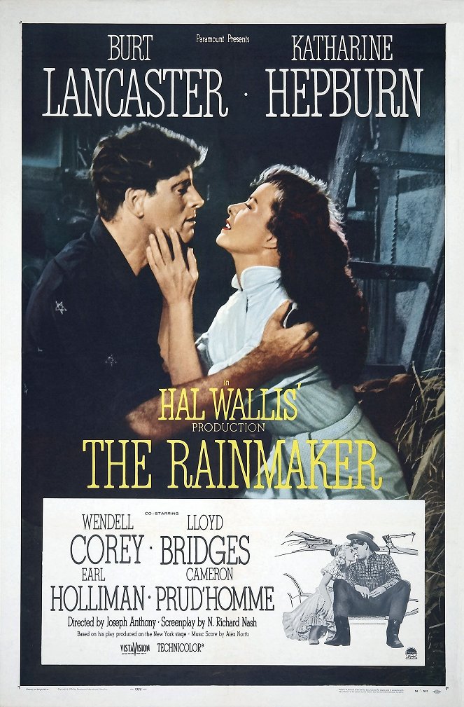 The Rainmaker - Plakaty
