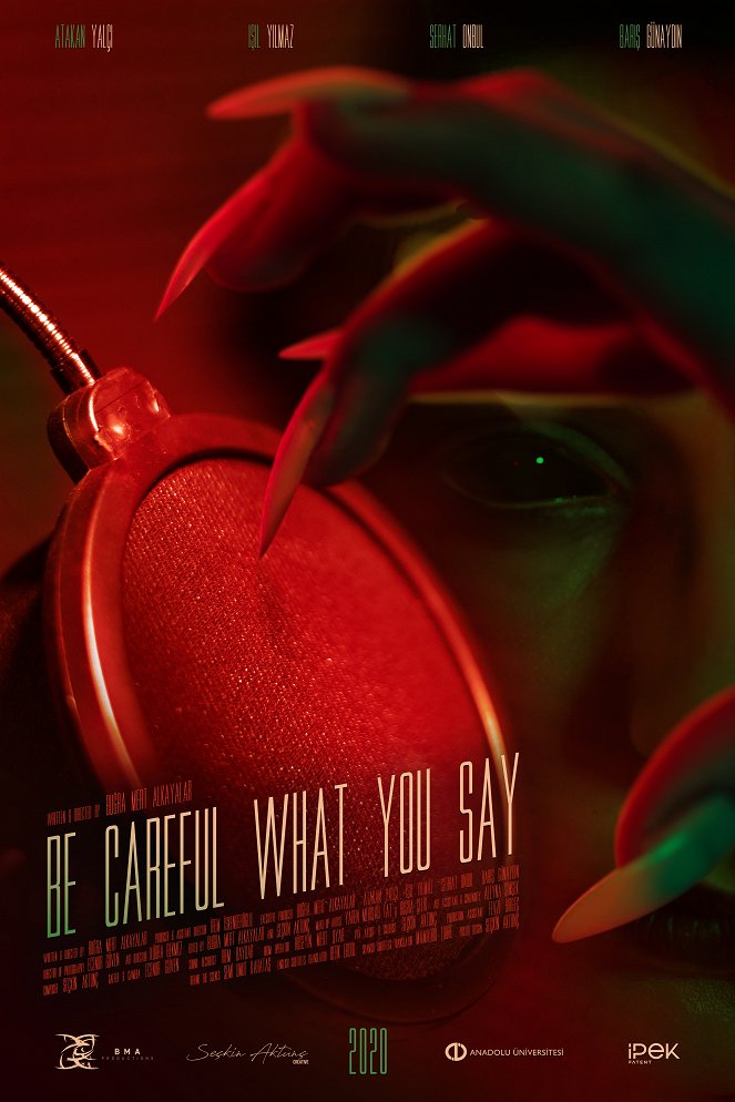 Be Careful What You Say - Posters