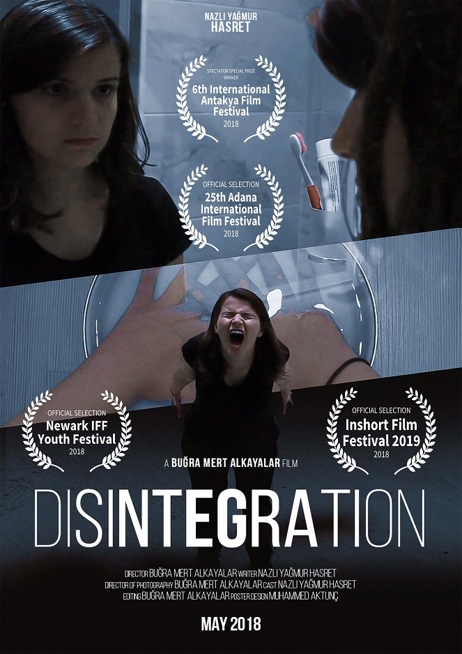 Disintegration - Posters