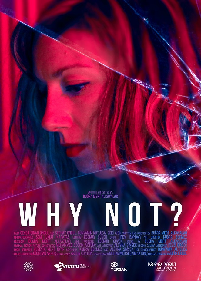 Why Not? - Posters