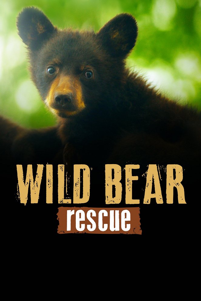 Wild Bear Rescue - Affiches