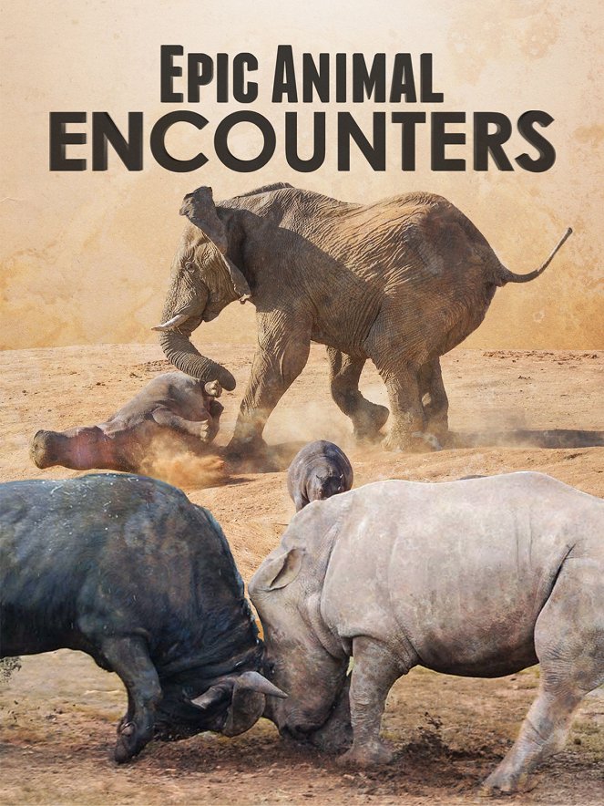 Epic Animal Encounters - Posters