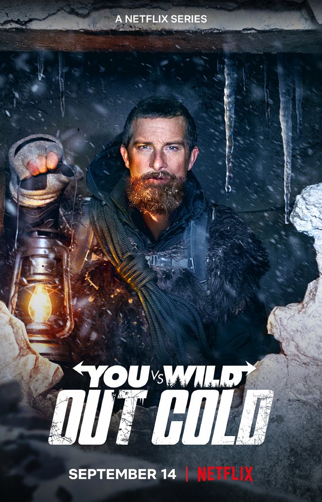 You vs. Wild: Out Cold - Affiches