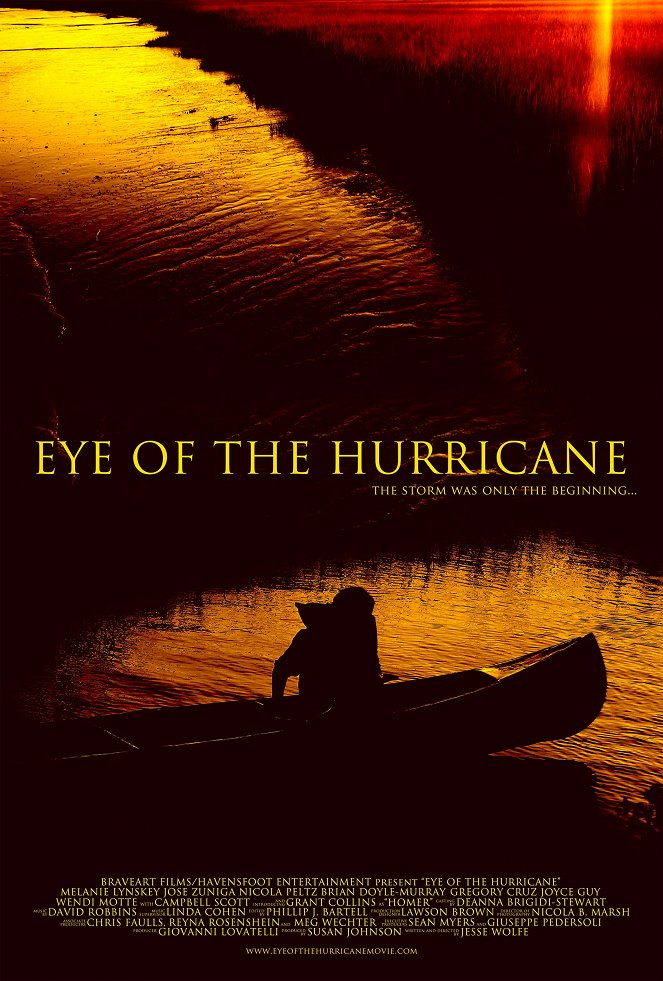 Eye of the Hurricane - Plakaty