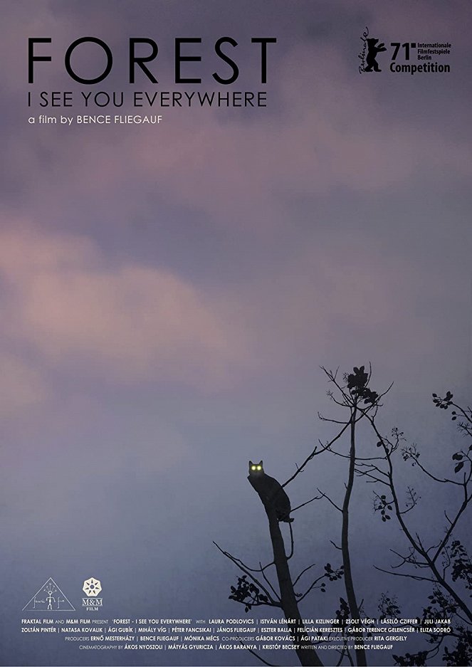 Forest: I See You Everywhere - Posters