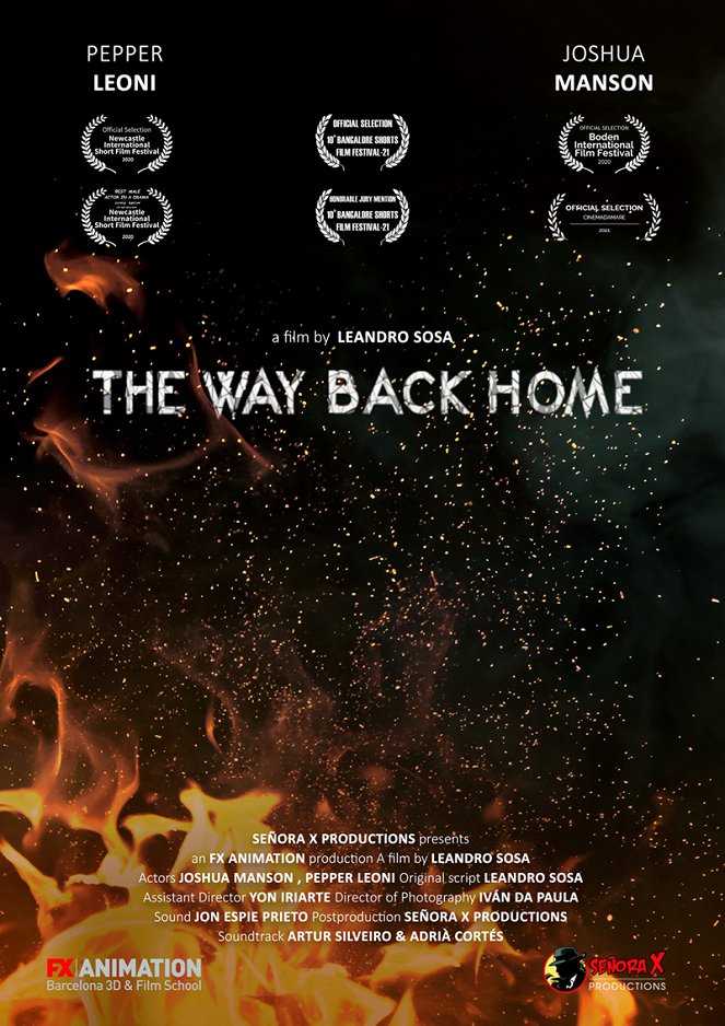 The Way Back Home - Affiches